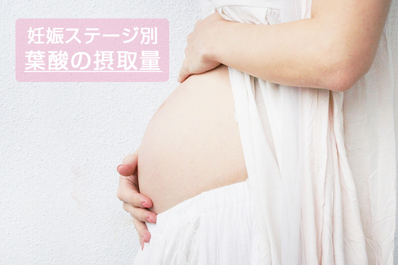妊活と妊娠中の葉酸摂取量