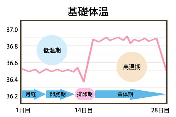 生理後は痩せやすい やせ期を知って賢くダイエット サプリメント通販サプー