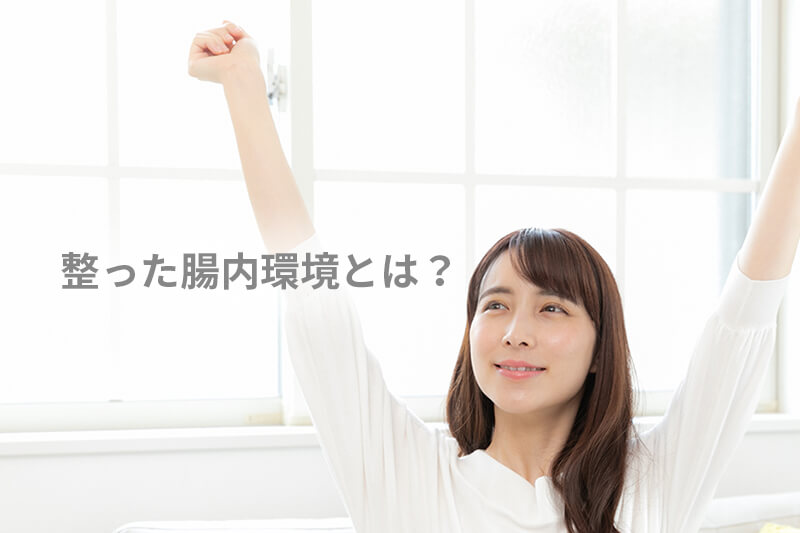 整った腸内環境とは