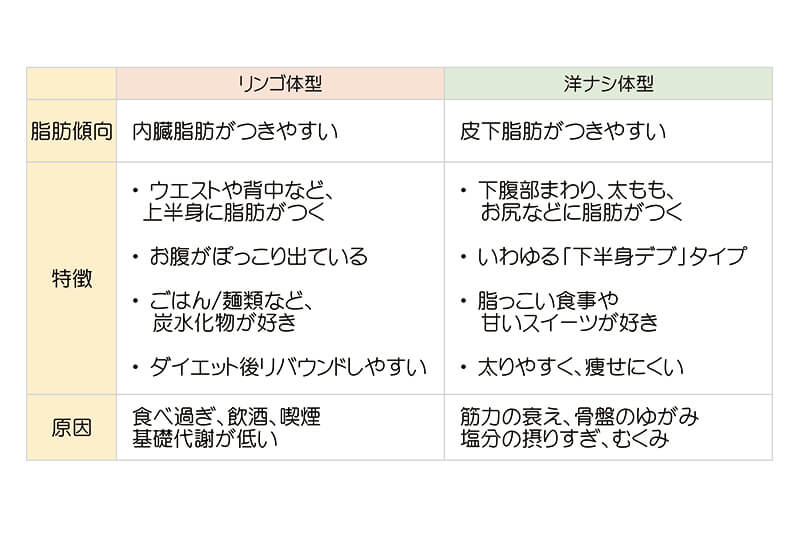 リンゴ体型と洋ナシ体型の違い
