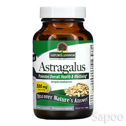 アストラガルス 500mg 90ベジカプセル