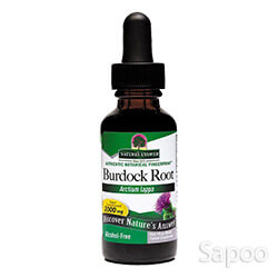 バードックルートエキス(アルコールフリー) 30ml
