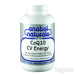 コエンザイムQ10CVエナジー 100mg 60カプセル