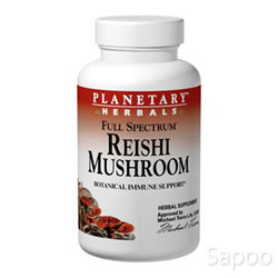 霊芝 460mg 100粒