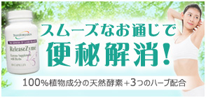 リリースザイム 100カプセル