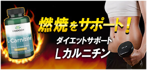 Lカルニチン 500mg 100粒