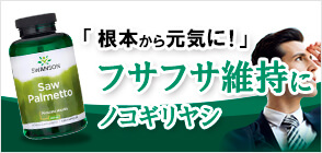 フルスペクトラム ノコギリヤシ(ソーパルメット) 540mg 250カプセル