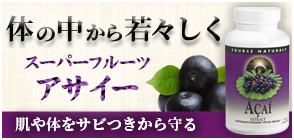 アサイー 500mg 120カプセル