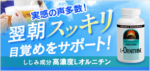 Lオルニチン 667mg 100カプセル