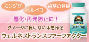 ウェルネストランスファーファクター 125mg 60カプセル