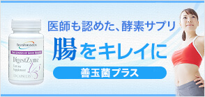 ダイジェストザイム 240カプセル