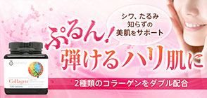 コラーゲン スキンヘアネイル フォーミュラ 120粒