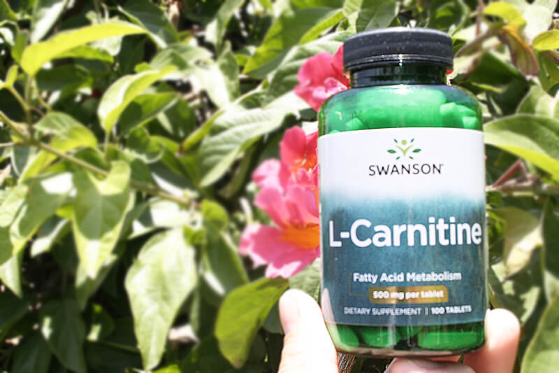 Lカルニチンサプリメント