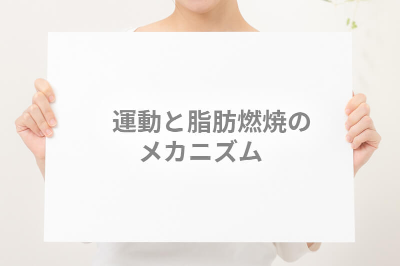 運動と脂肪燃焼のメカニズム