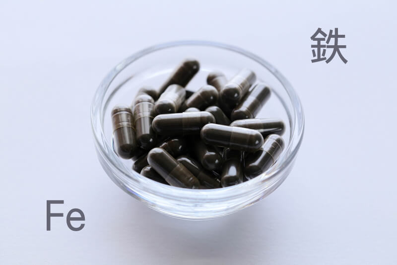 鉄分とは?