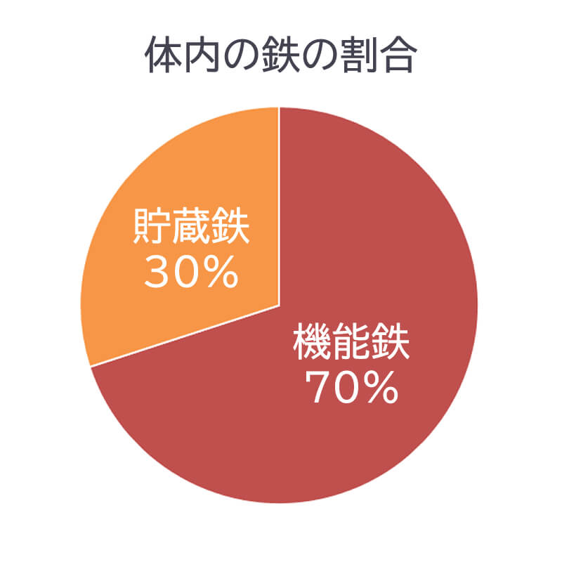 機能鉄と貯蔵鉄
