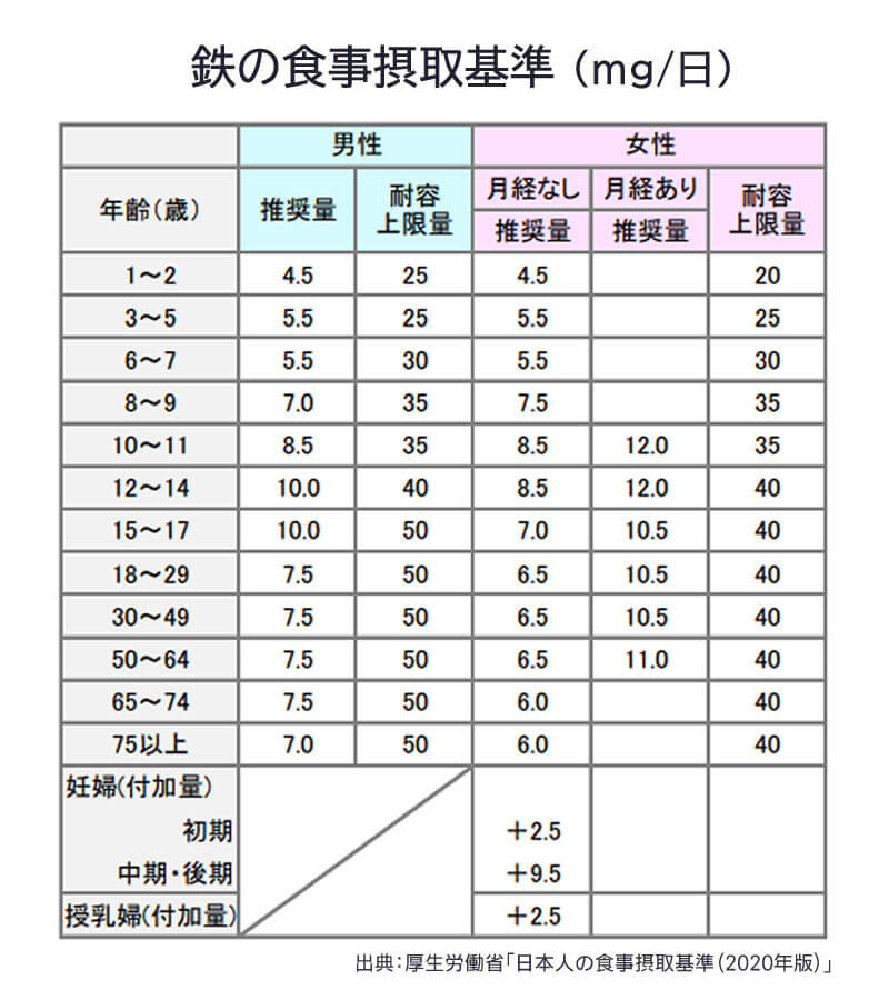 鉄の摂取基準量
