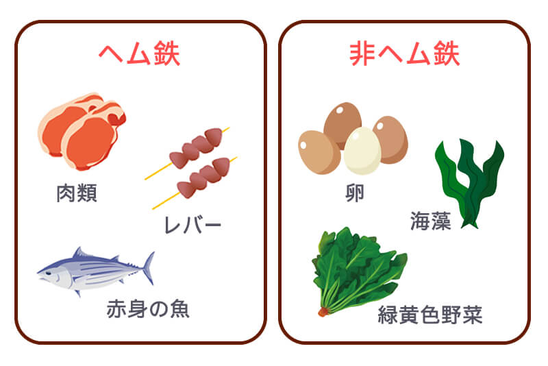 ヘム鉄と非ヘム鉄
