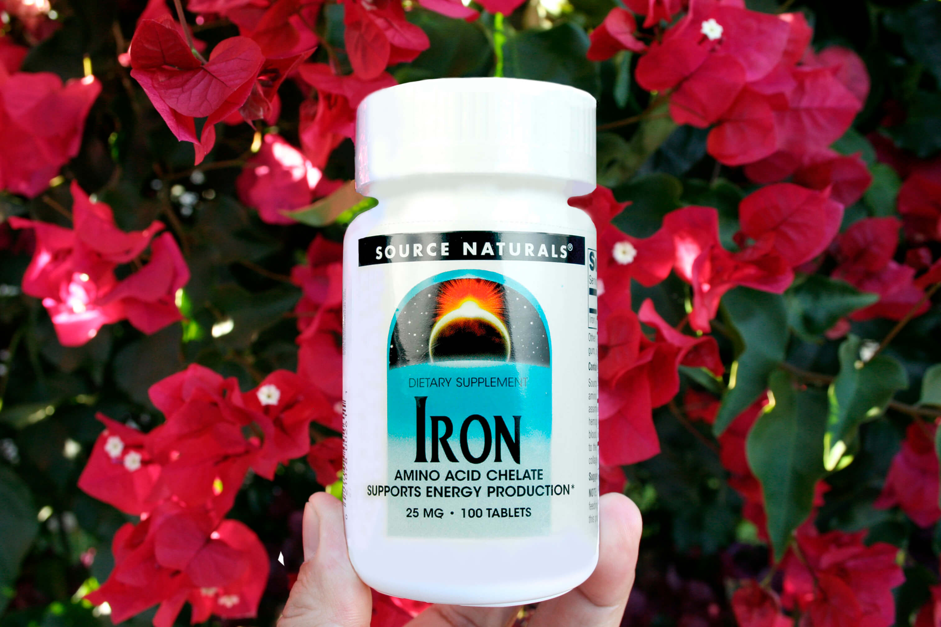 鉄分摂取時の注意