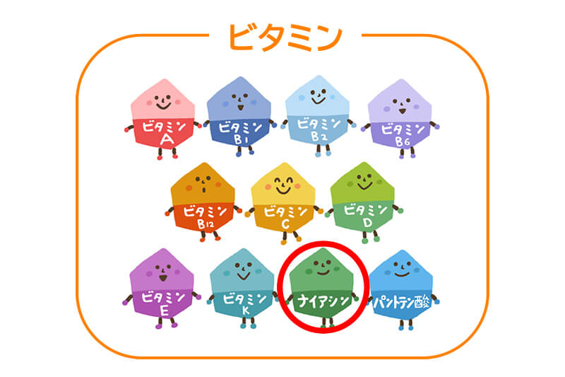 ビタミンのひとつナイアシン