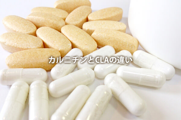 カルニチンとCLAの違い