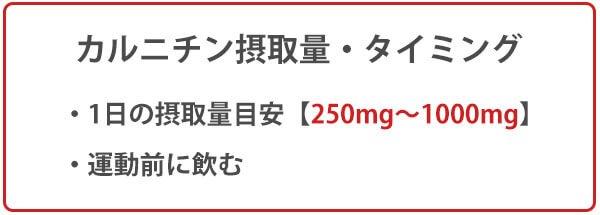 カルニチンの摂取量と摂取タイミング