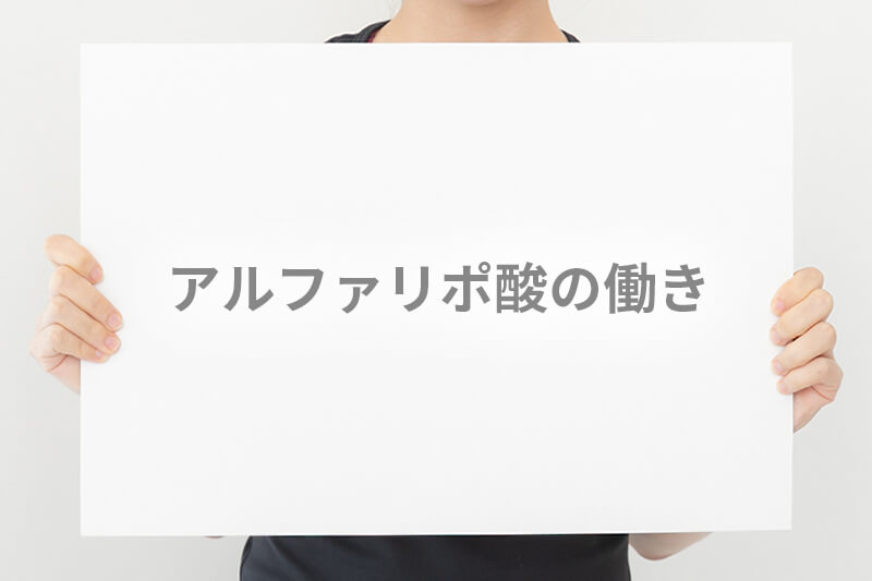 アルファリポ酸の働き