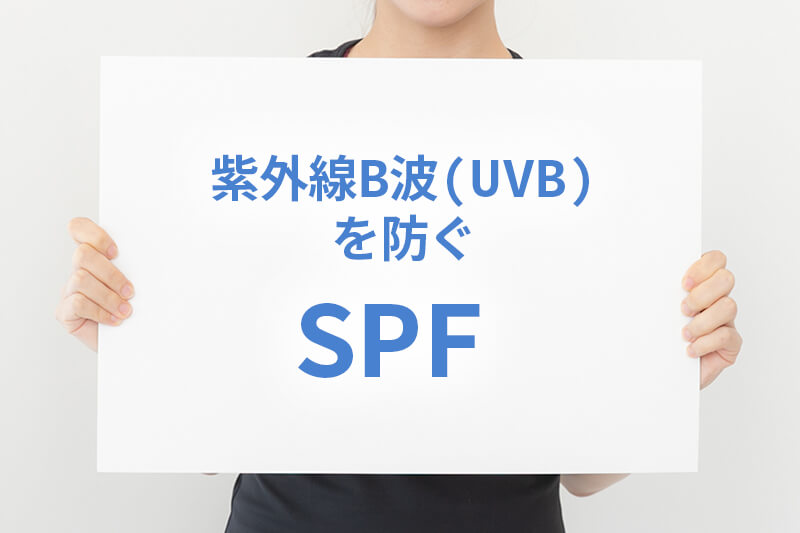 紫外線B波(UVB)を防ぐSPFとは
