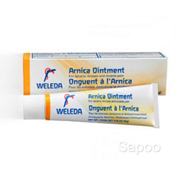 アルニカオイントメント 25g