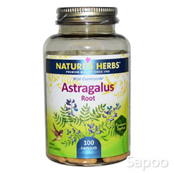 アストラガルス 400mg　 100カプセル