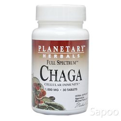 チャーガ(カバノアナタケ) フルスペクトラム 1000mg 30粒