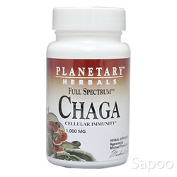 チャーガ(カバノアナタケ) フルスペクトラム 1000mg 60粒