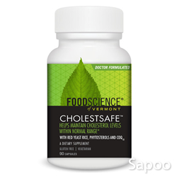 コレストセーフ 600mg 90カプセル