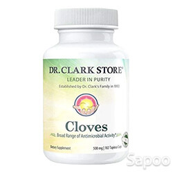 クローブ ベジタリアン 500mg 102カプセル