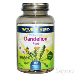 ダンデライオン 510mg 100カプセル