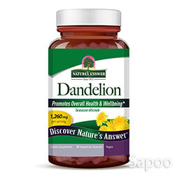 ダンデライオン 420mg 90ベジカプセル