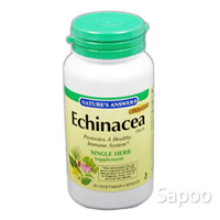エキナセア・ハーブ 400mg 30カプセル