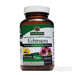 エキナセア・ルート 900mg 90ベジカプセル