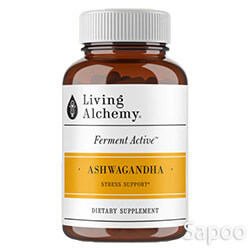 ファーメント アクティブ アシュワガンダ 60ビーガンカプセル