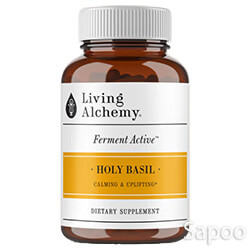 ファーメント アクティブ ホーリーバジル 60ビーガンカプセル