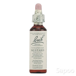 フラワーエッセンス・マスタード　 20ml