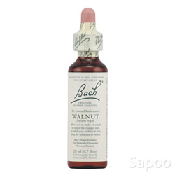 フラワーエッセンス・ウォルナット 20ml