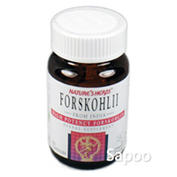 フォルスコリン　50カプセル 