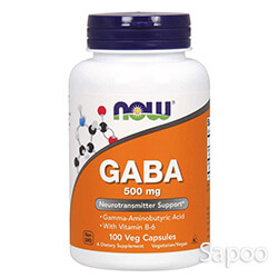 GABA 500mg 100ベジカプセル