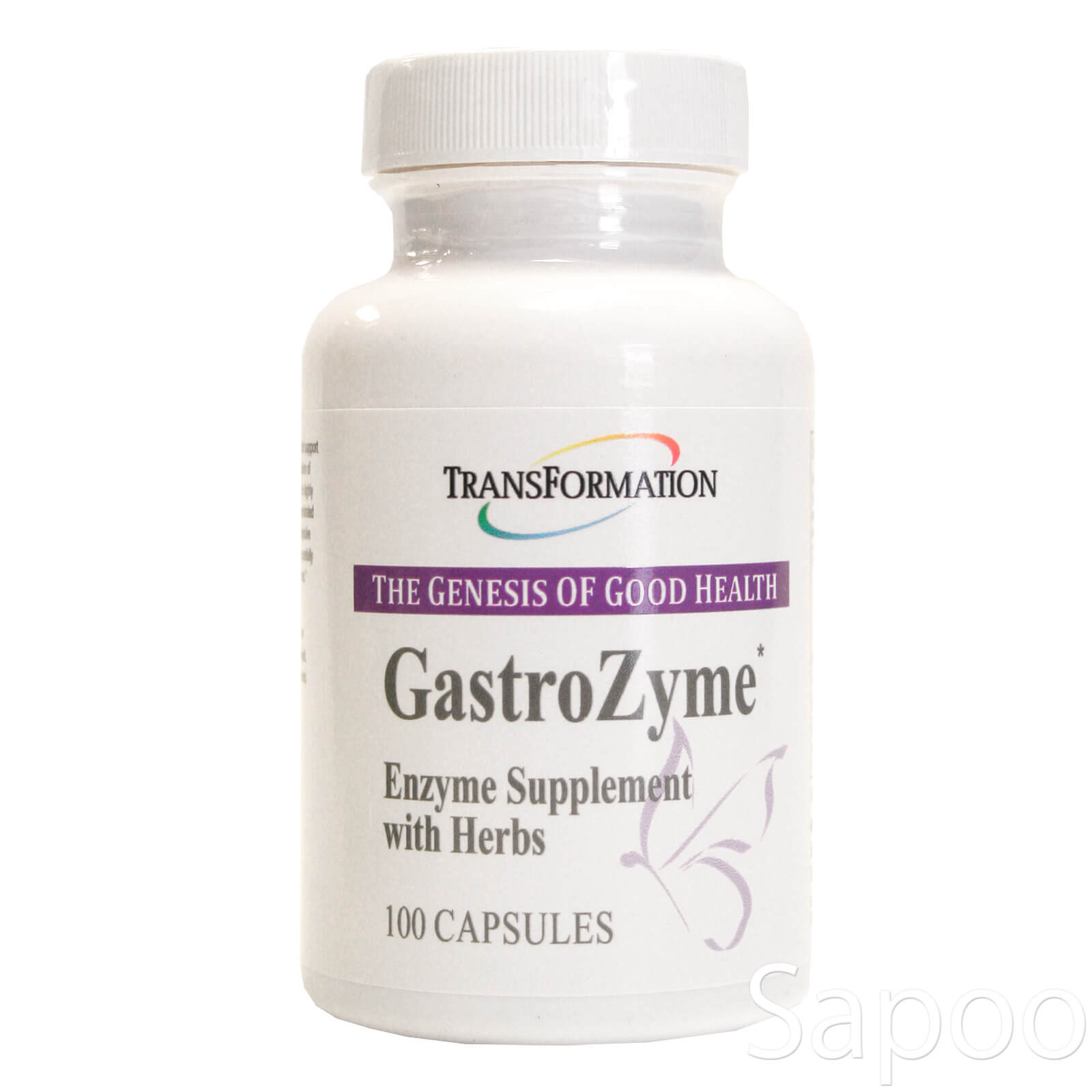 ガストロザイム 100カプセル