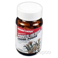 ジンジャー　60カプセル 