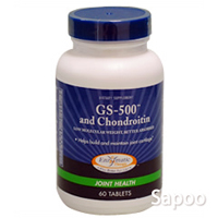 GS500コンドロイチン 60粒 