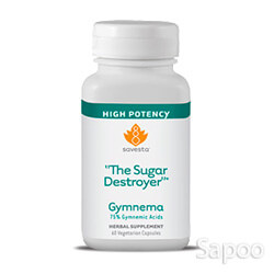 ギムネマ 500mg 60ベジカプセル