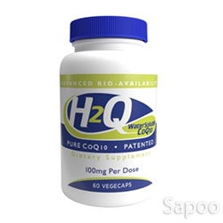 H2Q CoQ10 100mg 60ベジカプセル