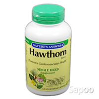 ホーソンベリー 500mg 120カプセル